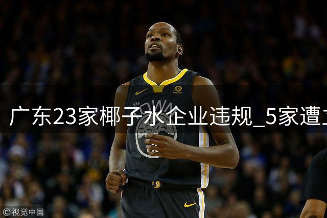 广东23家椰子水企业违规 5家遭立案 防腐剂问题引关注